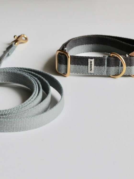 Dog collar and leash set 'Nux'