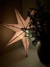 Julstjärna 'Linen' Natural 60cm