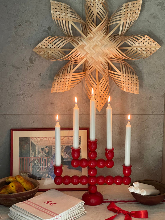 Julstjärna 'Star' bamboo