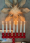Julstjärna 'Star' bamboo