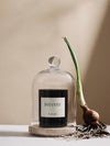 Scented candle 'Botanist'