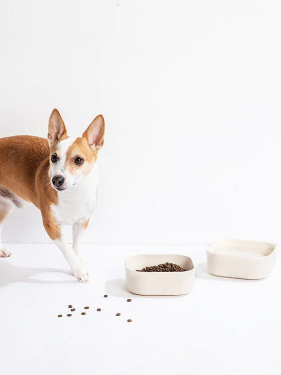 Dog bowl 'Wood' White