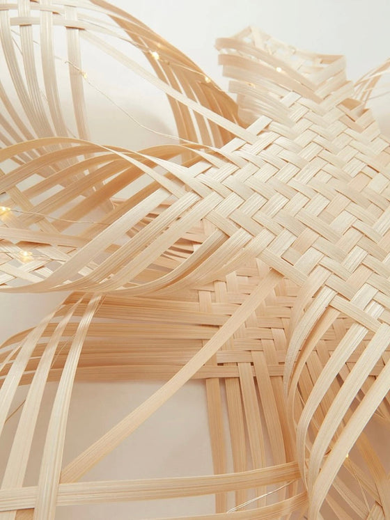 Julstjärna 'Star' bamboo