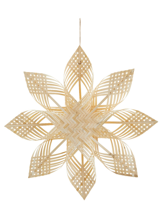 Julstjärna 'Star' bamboo