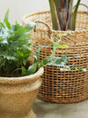 Basket 'Market' Bamboo (M)